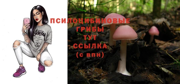 кокаин премиум Заводоуковск