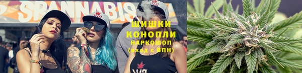 спиды Елизово