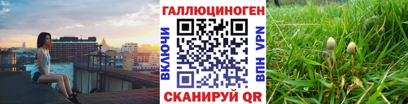 Псилоцибиновые грибы Psilocybine cubensis  Купить закладки  Кирсанов 